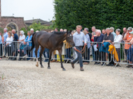 PN030825-134 - Len